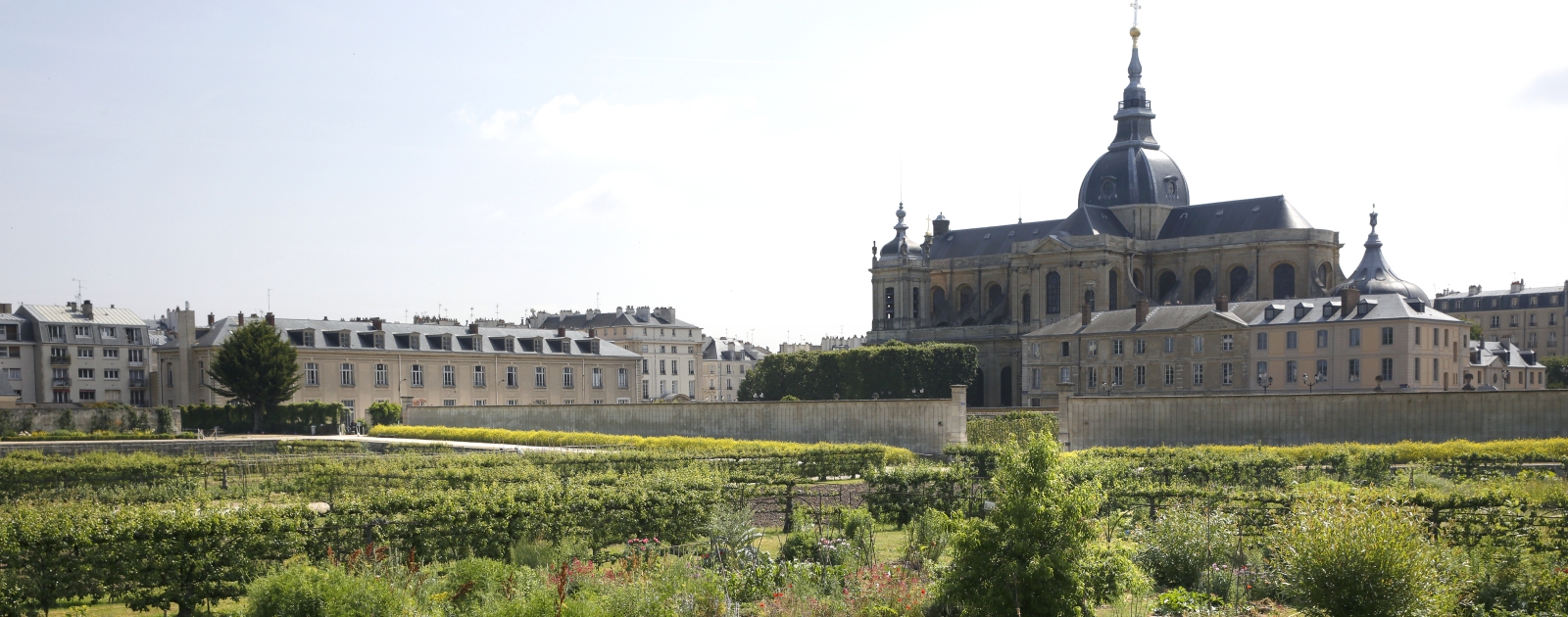 Devenez bénévole au Potager du Roi | école nationale supérieure de paysage