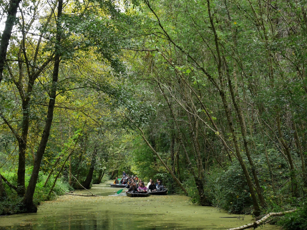 Agrandir l'image - fenêtre modale