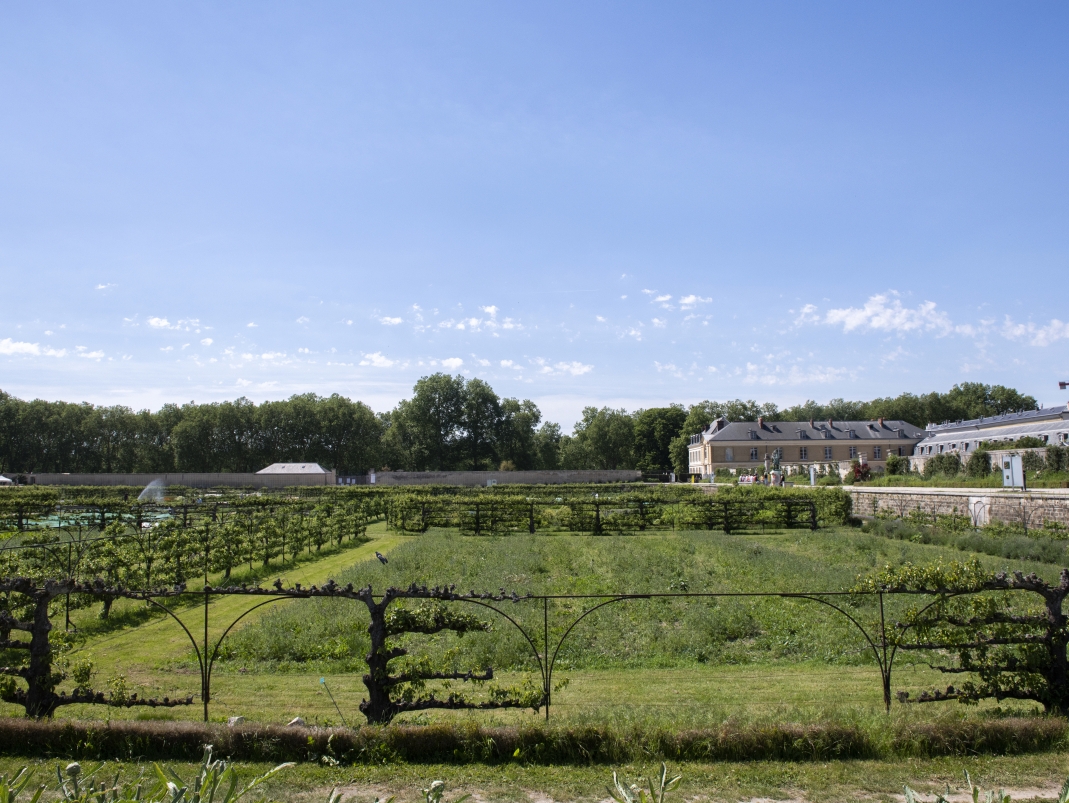 Agrandir l'image - fenêtre modale - État des lieux des arbres du Grand Carré.