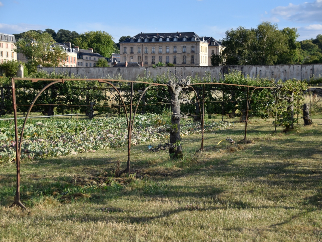 Agrandir l'image - fenêtre modale - État des lieux des armatures non restaurées.