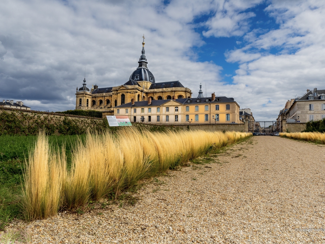 Agrandir l'image - fenêtre modale - Vue vers la parcelle nord du jardin Du Breuil, dont le sol est en cours de réenrichissement.