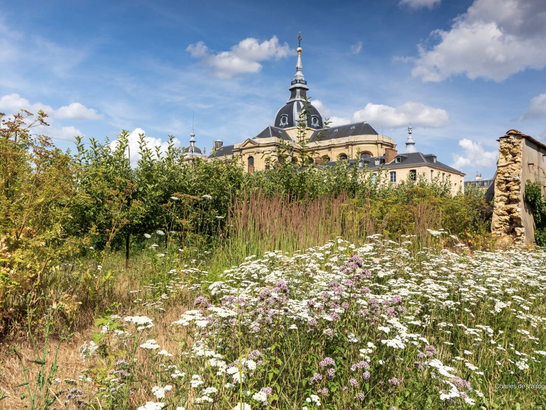 Agrandir l'image - fenêtre modale - Mur M15 effondré en 2015.