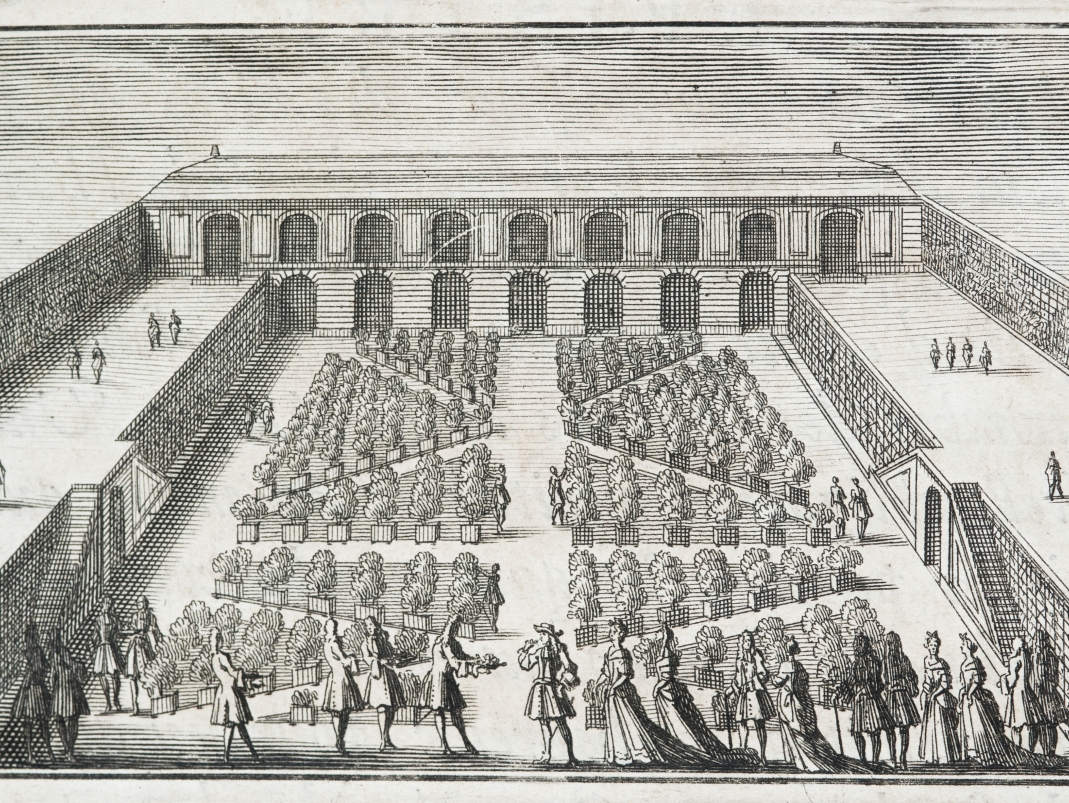 Agrandir l'image - fenêtre modale - Gravure issue de J.-B. de La Quintinie, Instruction pour les jardins fruitiers et potagers, 1690.