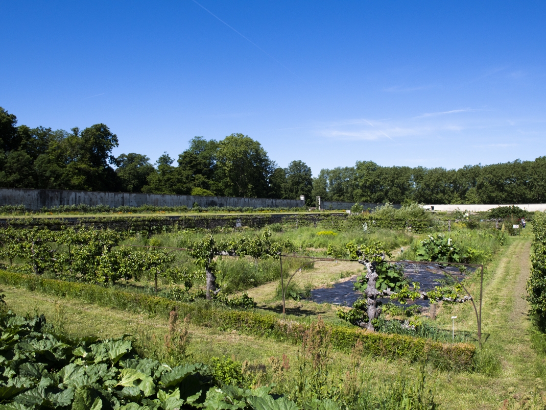Agrandir l'image - fenêtre modale - État des lieux des arbres du Grand Carré.