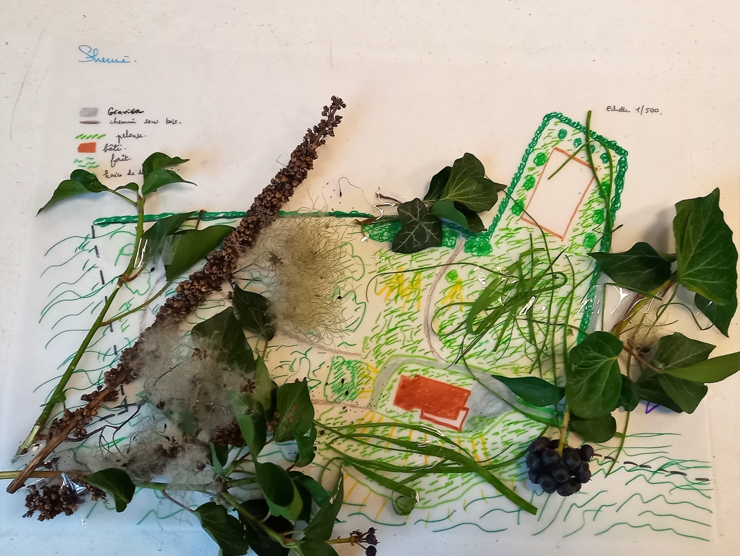 Agrandir l'image - fenêtre modale