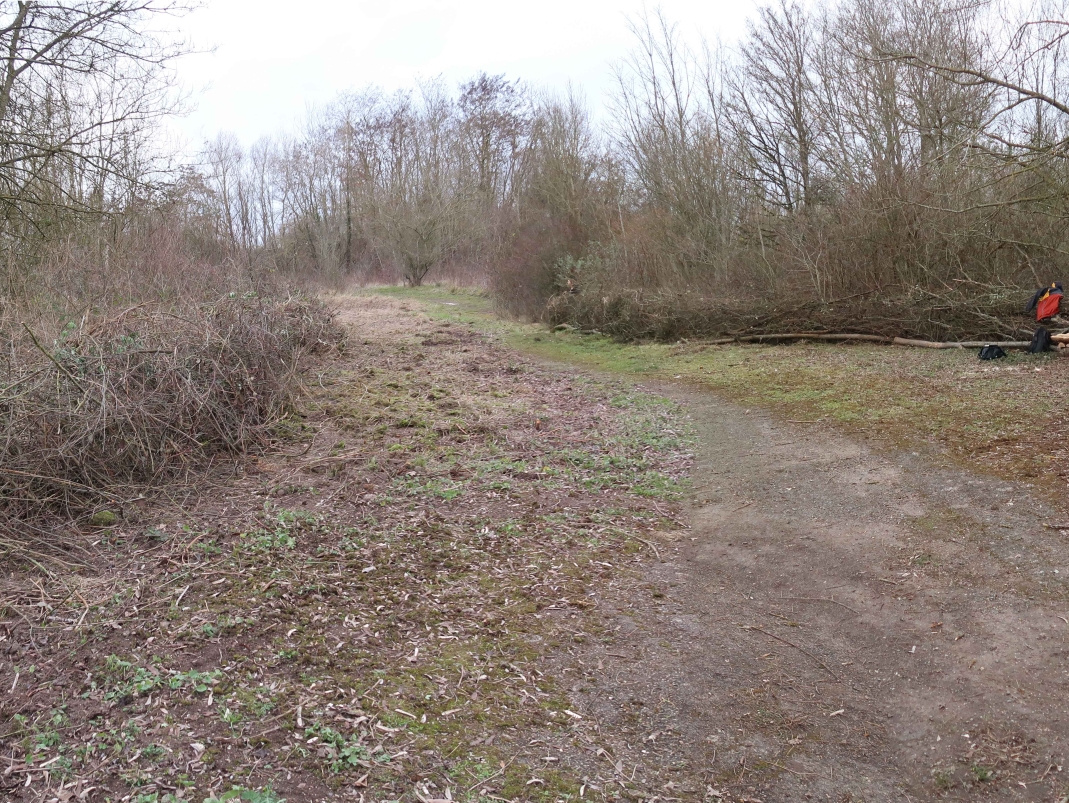 Agrandir l'image - fenêtre modale - Une nouvelle clairière