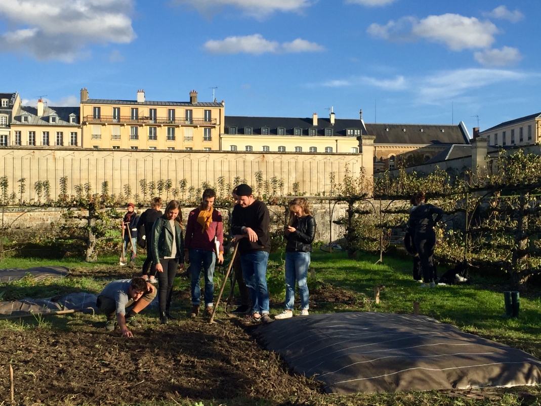 Agrandir l'image - fenêtre modale