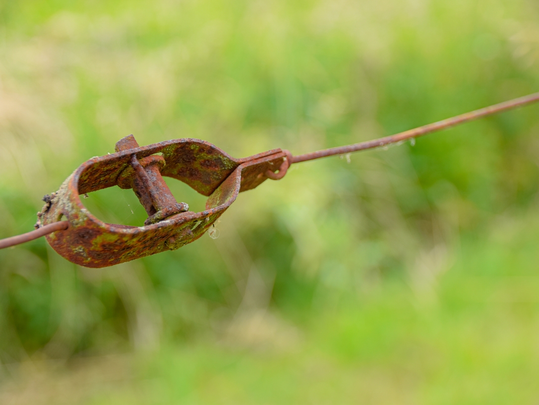 Agrandir l'image - fenêtre modale - État des lieux des armatures non restaurées.