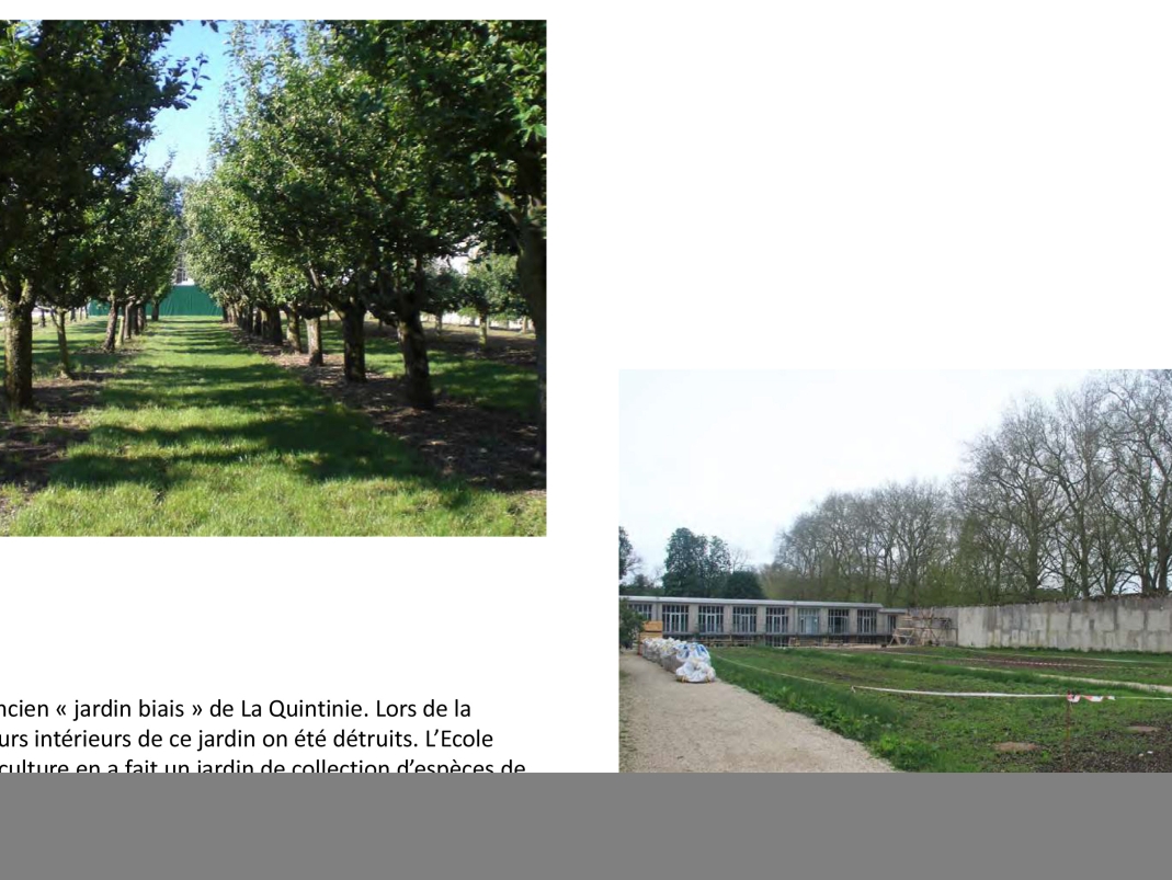 Agrandir l'image - fenêtre modale - Association des Amis du Potager du Roi, Jardin Hardy avant/après, 13 juin 2021.