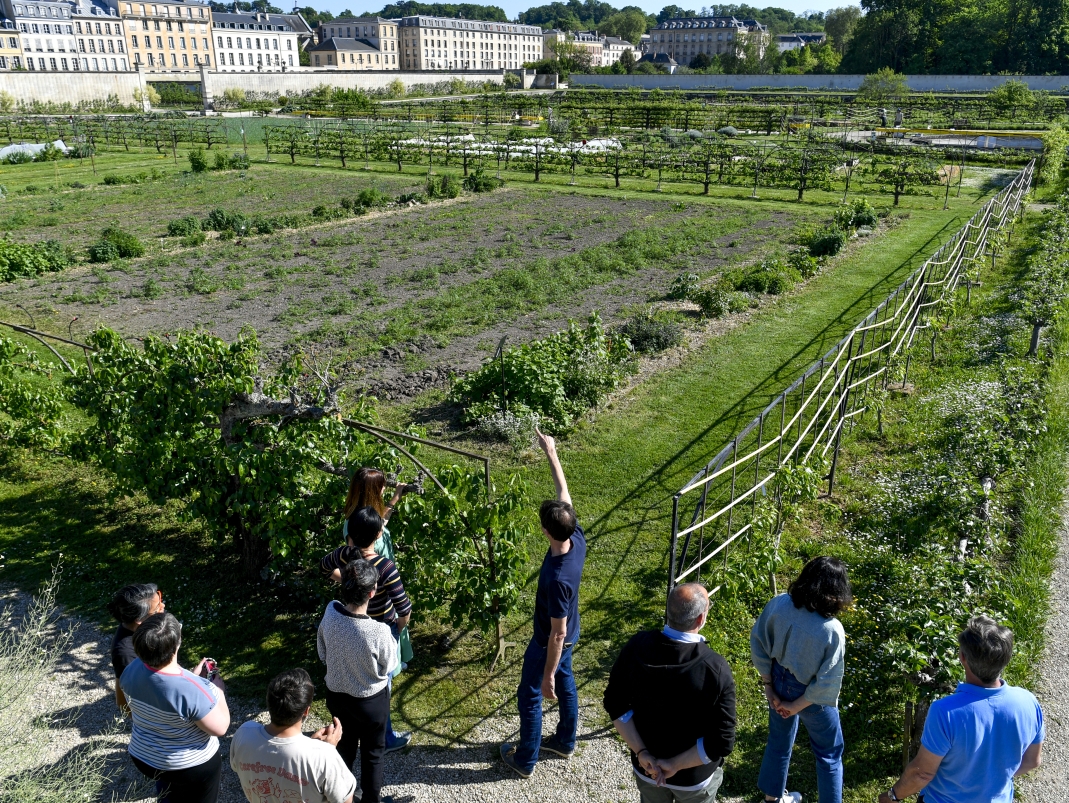 Agrandir l'image - fenêtre modale