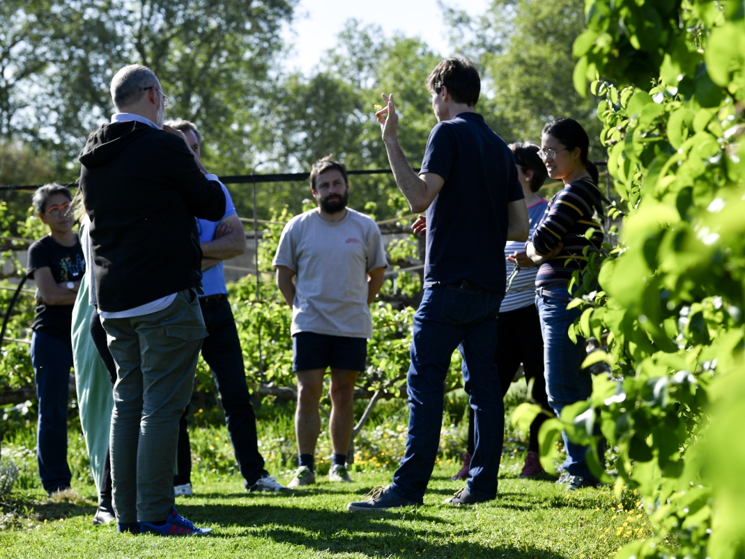 Agrandir l'image - fenêtre modale
