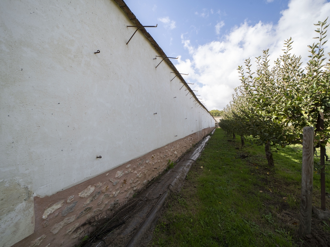 Agrandir l'image - fenêtre modale - Le mur séparant les jardins Du Breuil et Legendre, avant sa replantation (restauration naturelle du sol en cours).