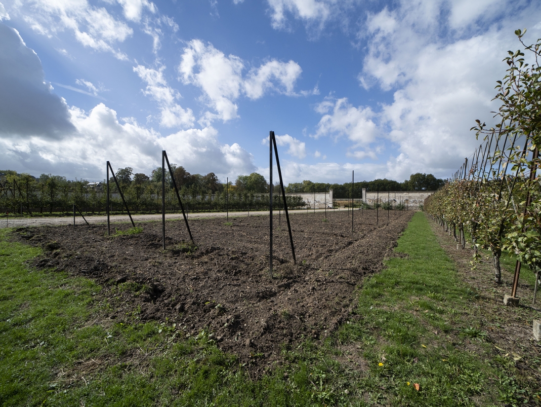 Agrandir l'image - fenêtre modale - Vue sur la parcelle nord du jardin Du Breuil vers le Grand Carré, après l'installation des potences.