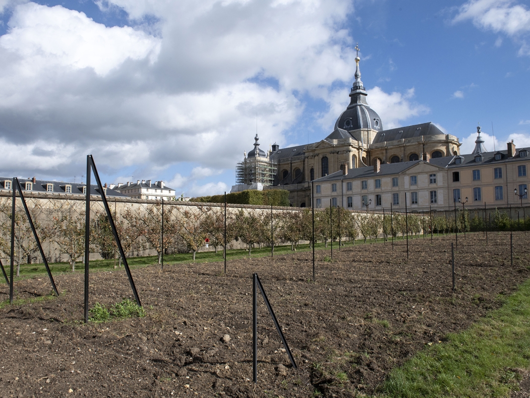 Agrandir l'image - fenêtre modale - Vue sur la parcelle nord du jardin Du Breuil après l'installation des potences.