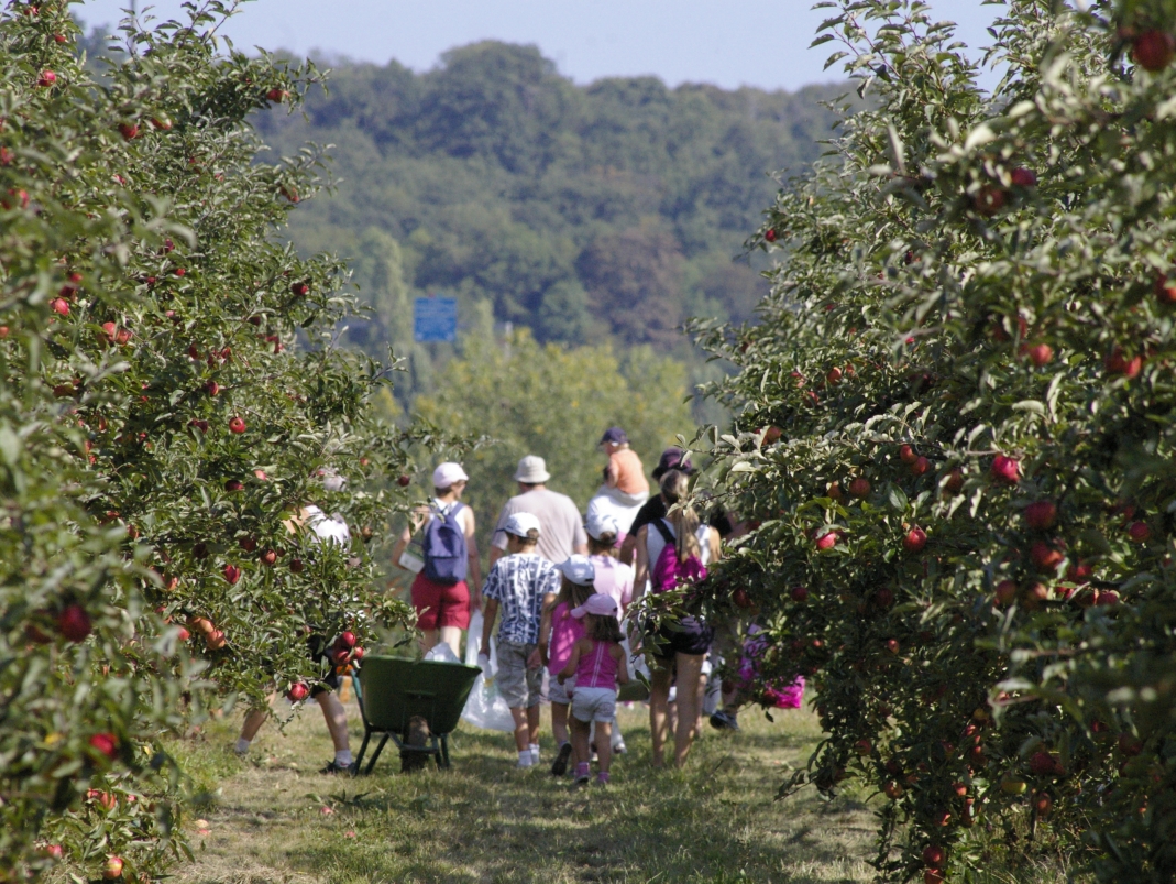 Agrandir l'image - fenêtre modale