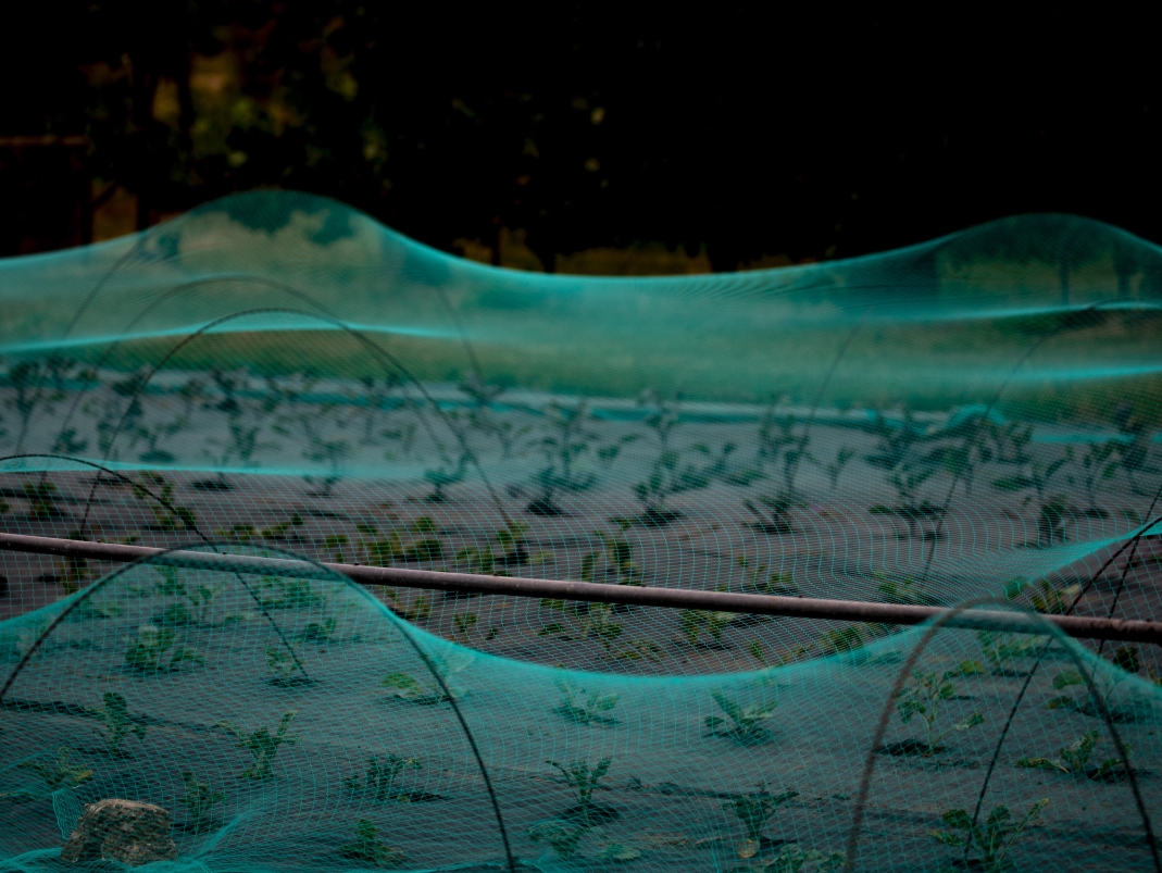 Agrandir l'image - fenêtre modale - Le Grand Carré, un lieu de production.