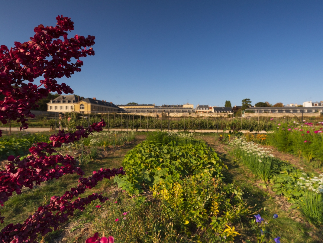 Agrandir l'image - fenêtre modale - Le Grand Carré, un lieu de production.
