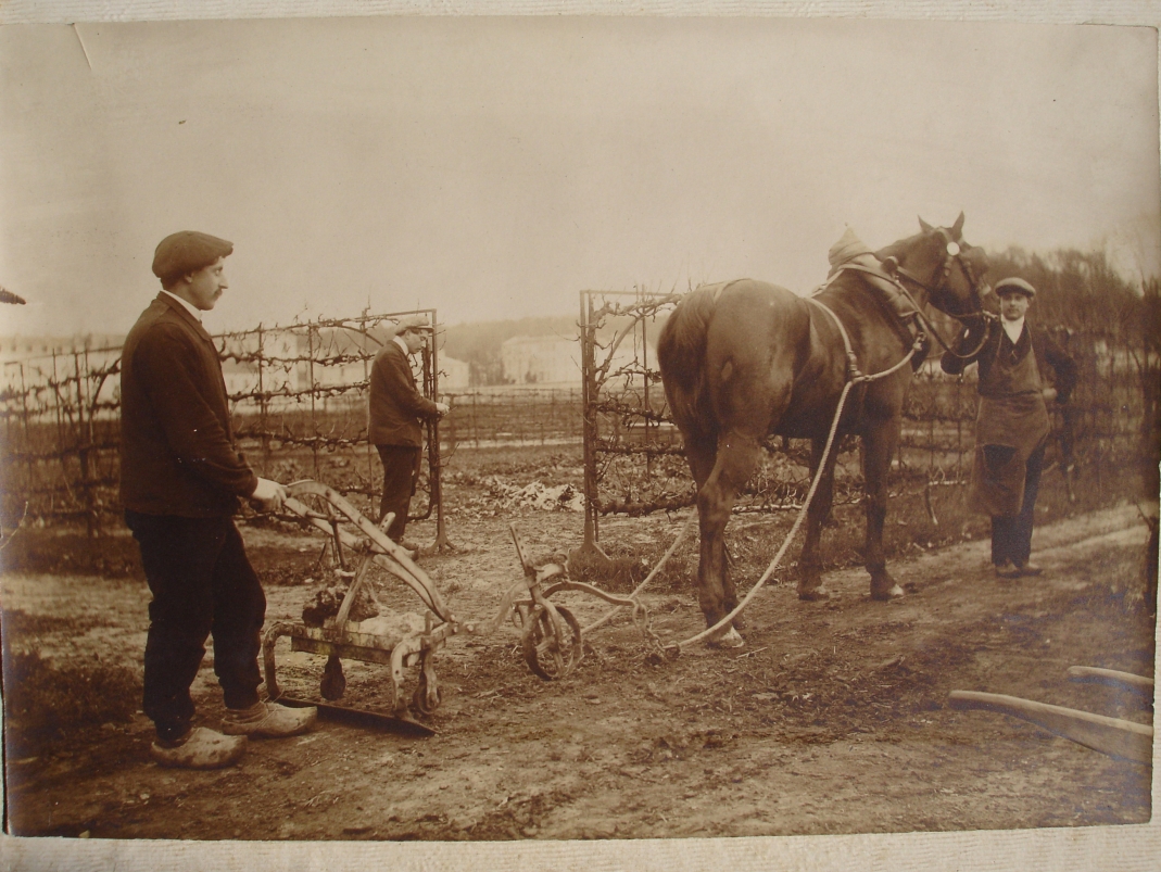 Agrandir l'image - fenêtre modale