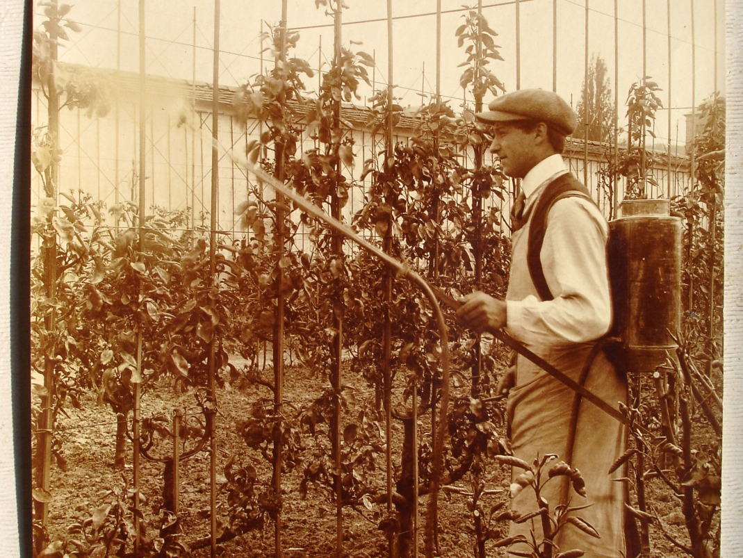 Agrandir l'image - fenêtre modale