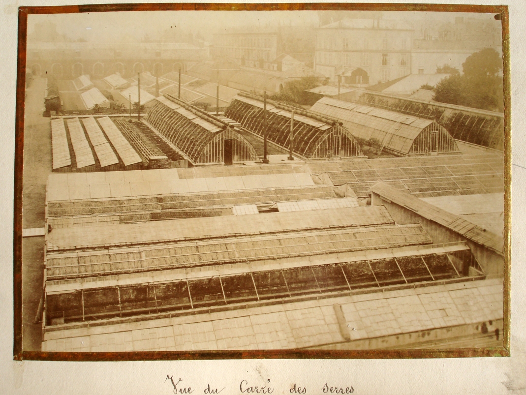 Agrandir l'image - fenêtre modale - Les serres de production installées sur la partie nord du Potager du Roi.