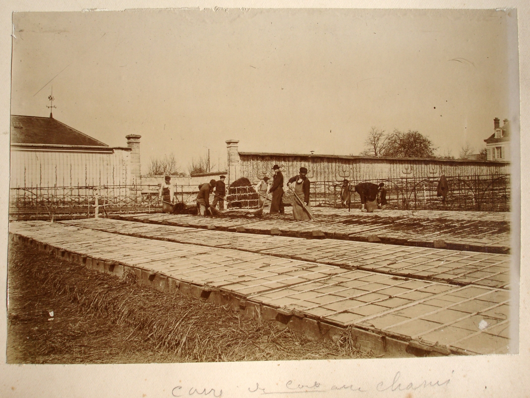 Agrandir l'image - fenêtre modale