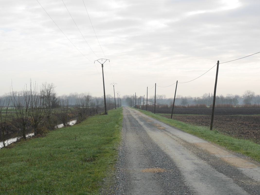 Agrandir l'image - fenêtre modale - Chemin de polder, cliché réalisé dans le cadre du projet ANR Digues.