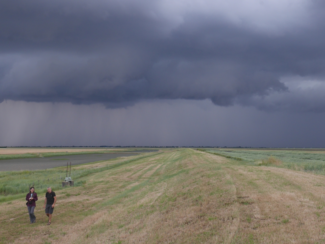 Agrandir l'image - fenêtre modale - Rencontres sur le terrain dans le cadre du projet ANR Digues.