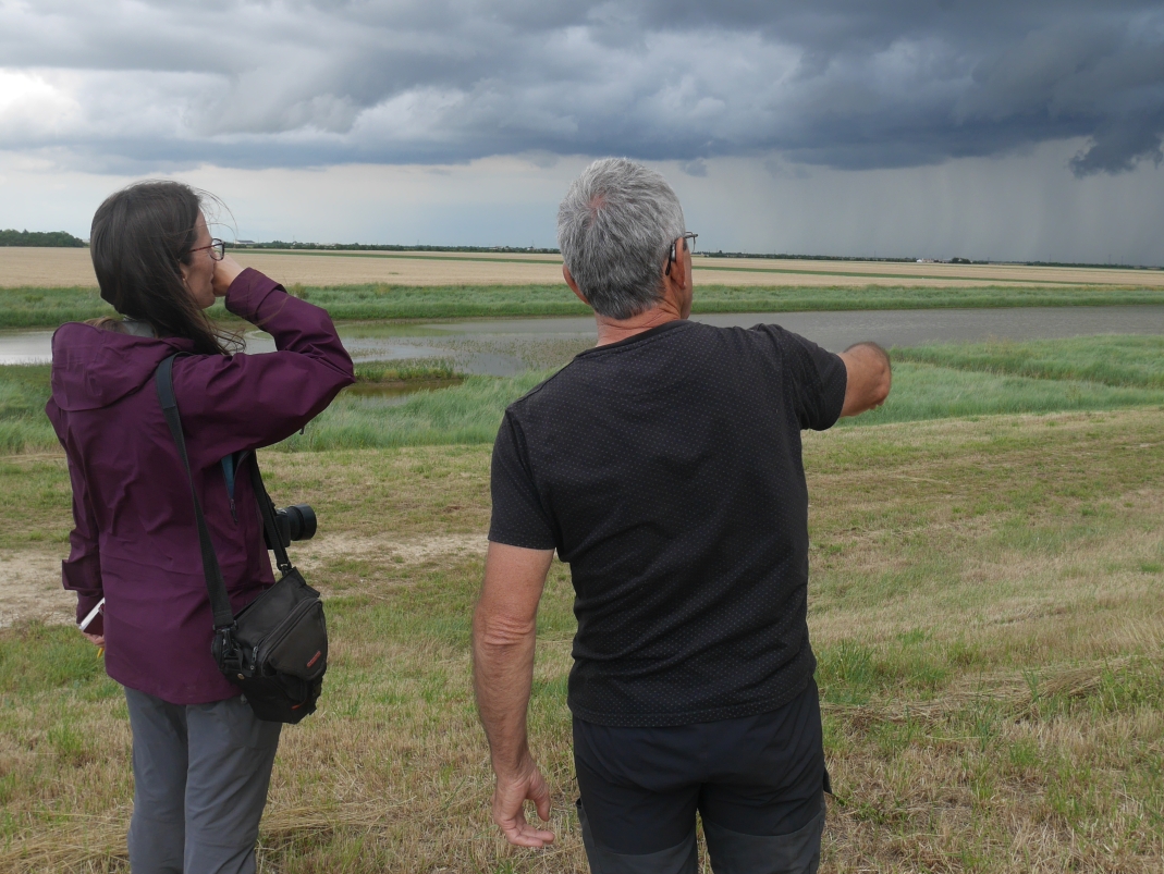 Agrandir l'image - fenêtre modale - Rencontres sur le terrain dans le cadre du projet ANR Digues.