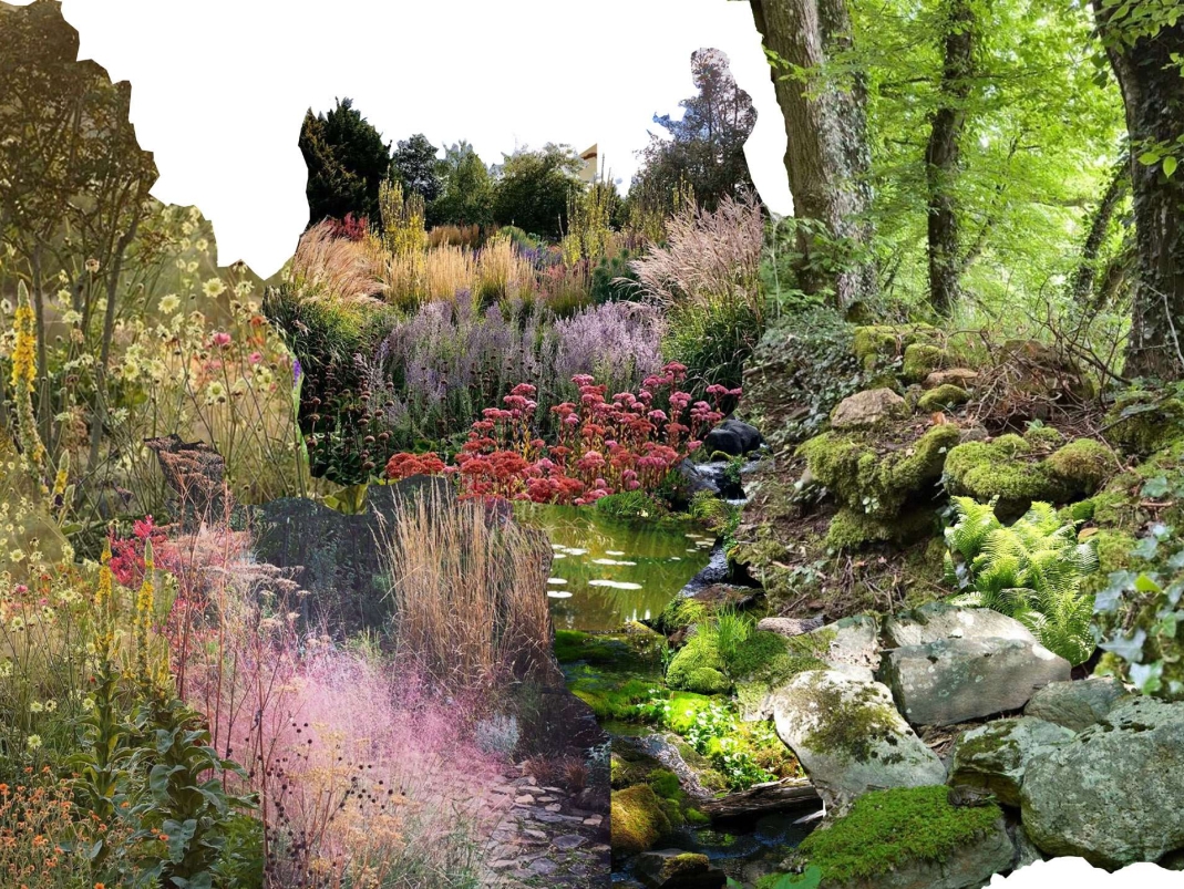 Agrandir l'image - fenêtre modale