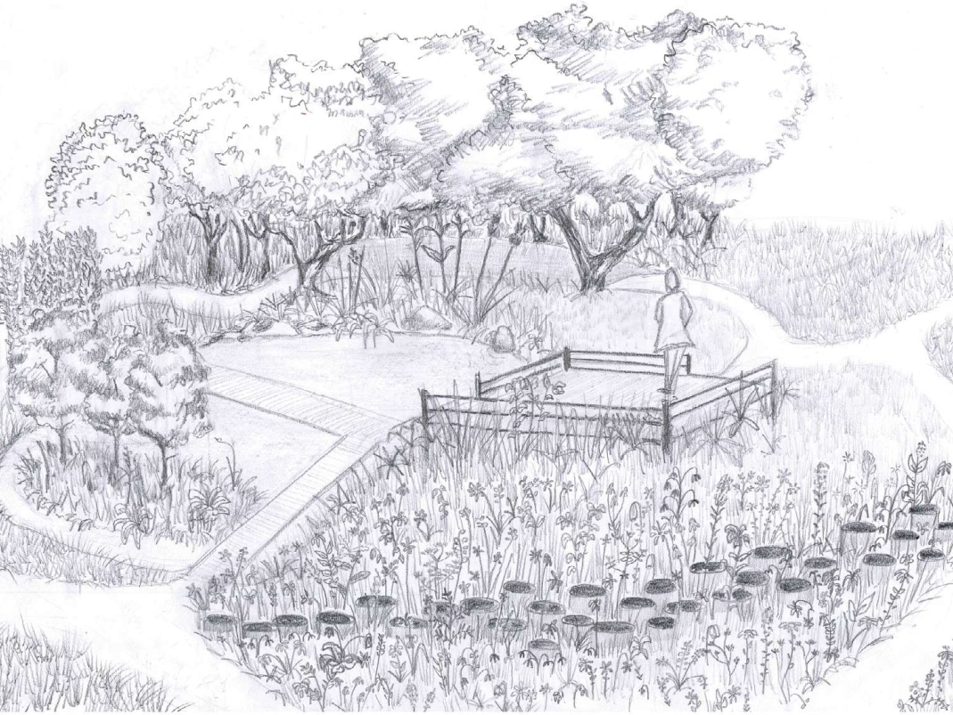 Agrandir l'image - fenêtre modale