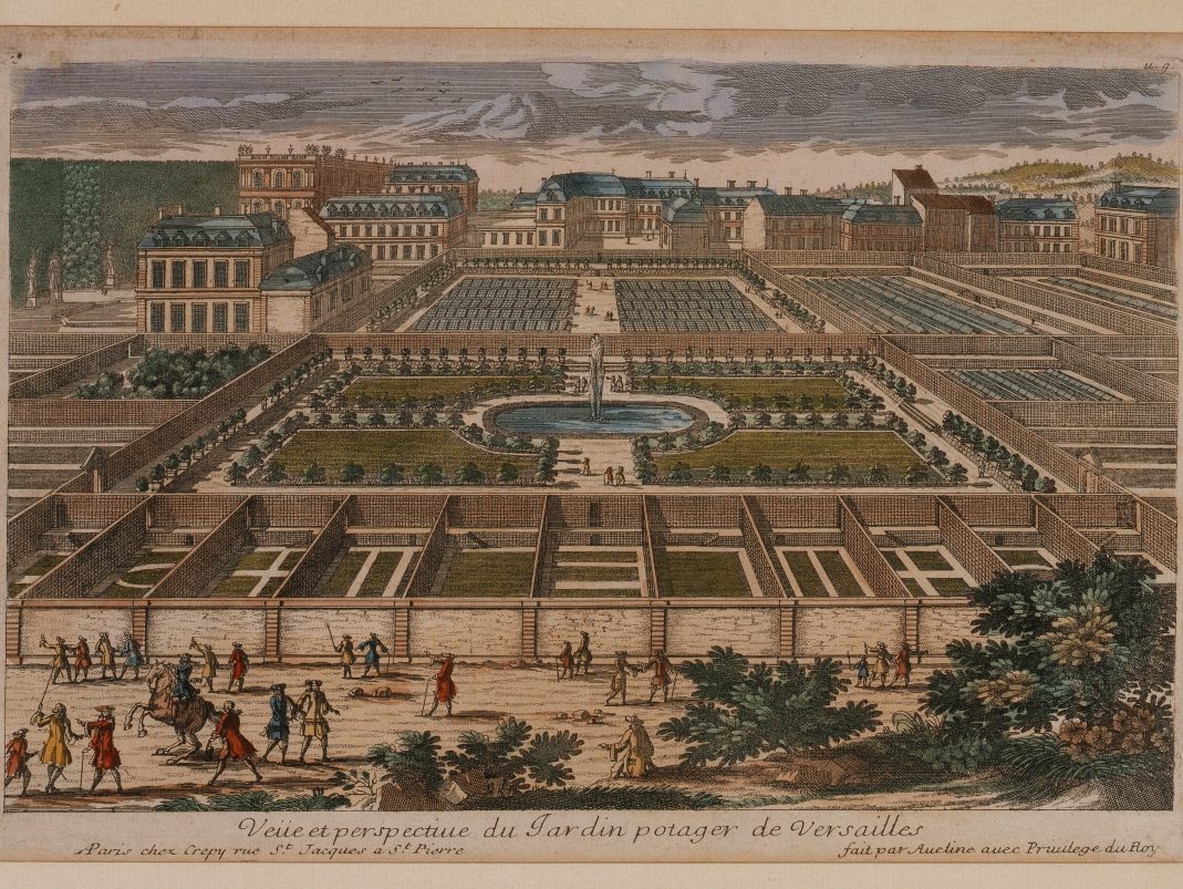 Agrandir l'image - fenêtre modale - Estampe qui représente une vue et perspective du Jardin potager de Versailles.