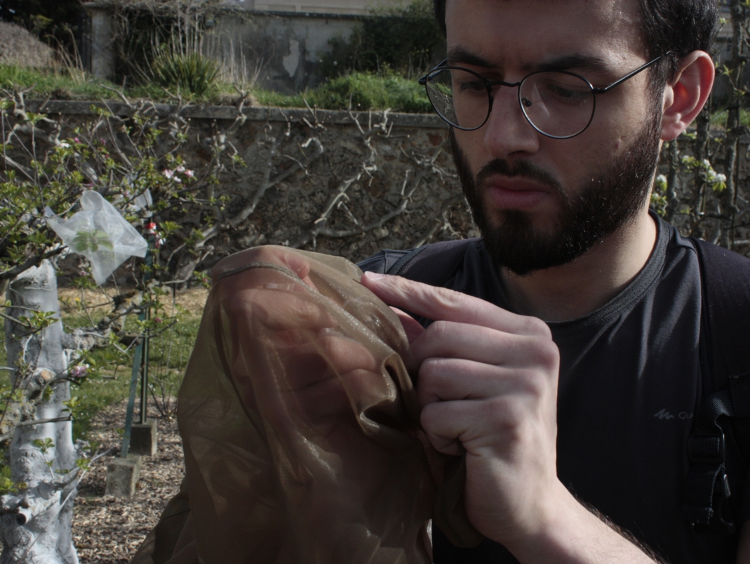 Agrandir l'image - fenêtre modale - Capture au filet.