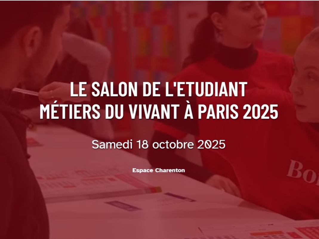 Agrandir l'image - fenêtre modale