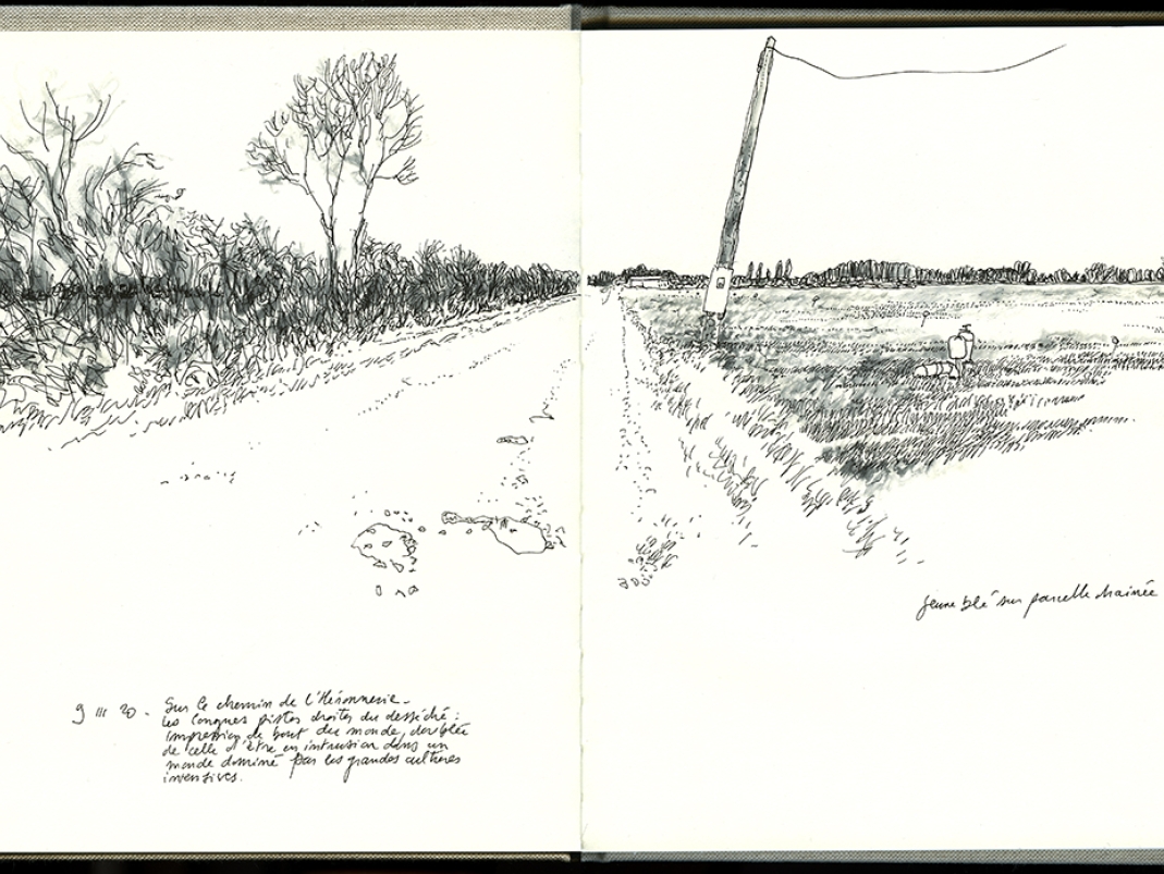 Agrandir l'image - fenêtre modale - Chemin vers la Héronnerie, carnet de terrain.