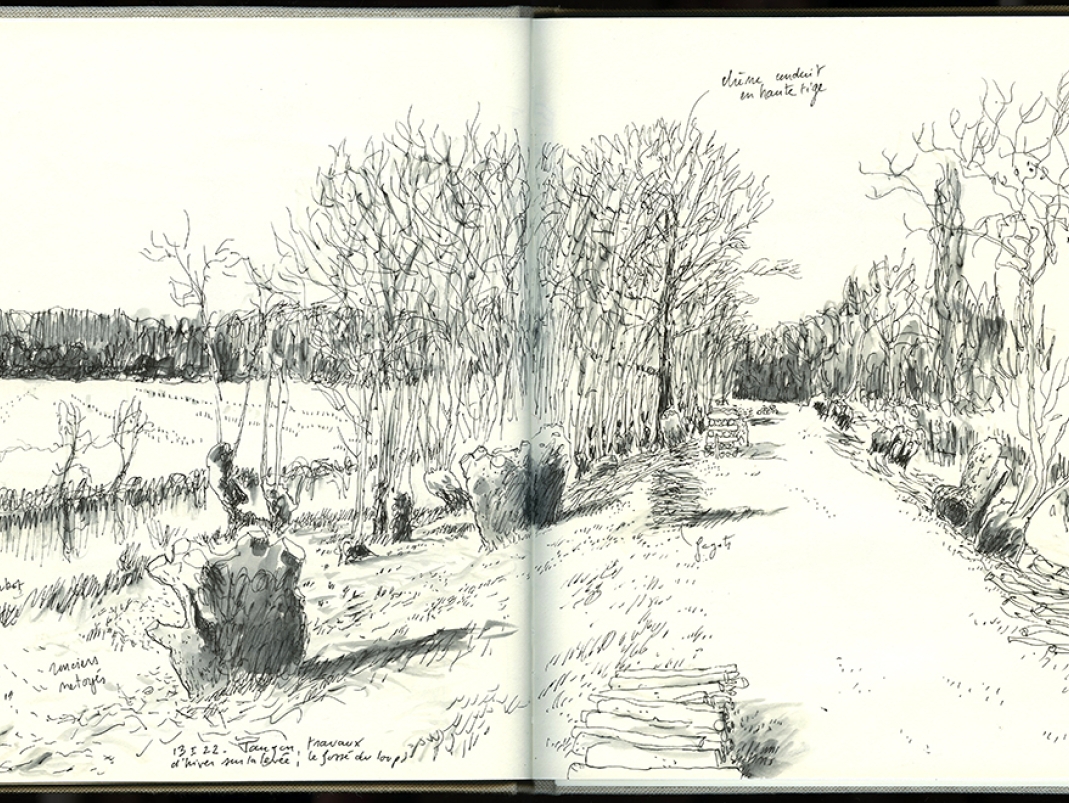 Agrandir l'image - fenêtre modale - Travaux hivernaux au Fosse du Loup, carnet de terrain.