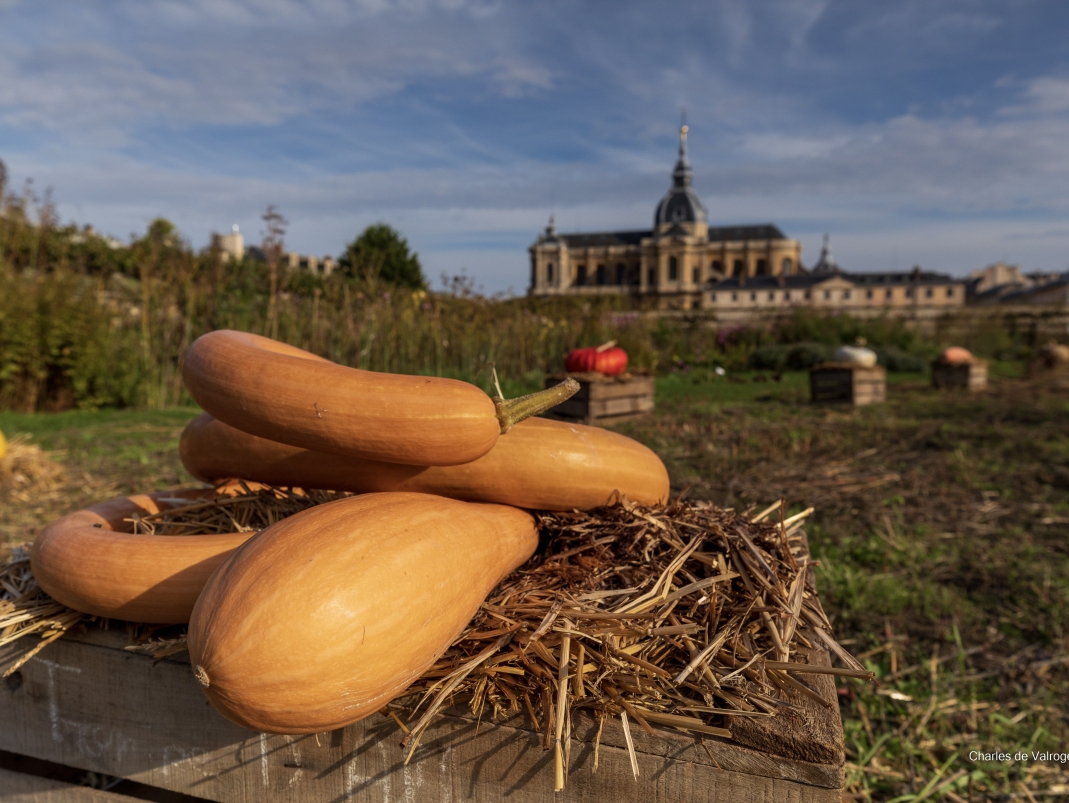 Agrandir l'image - fenêtre modale