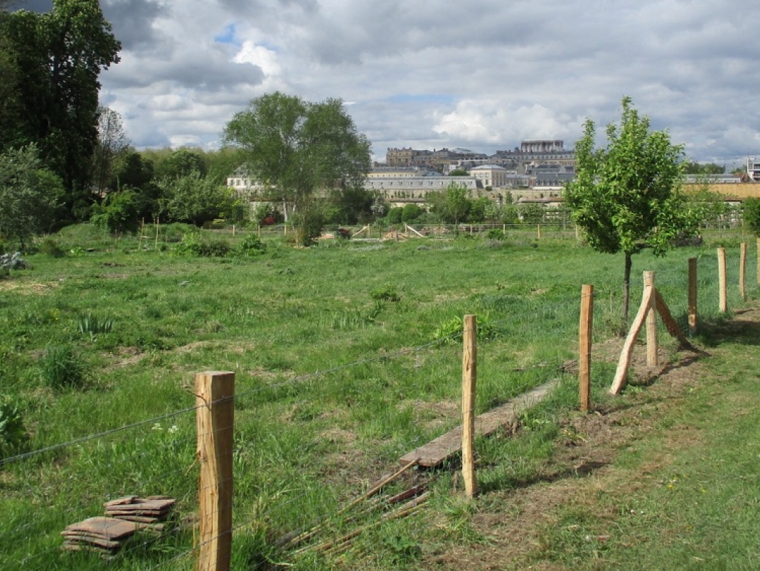 Agrandir l'image - fenêtre modale - Installation de la clôture autour du pré-verger à l'été 2019.
