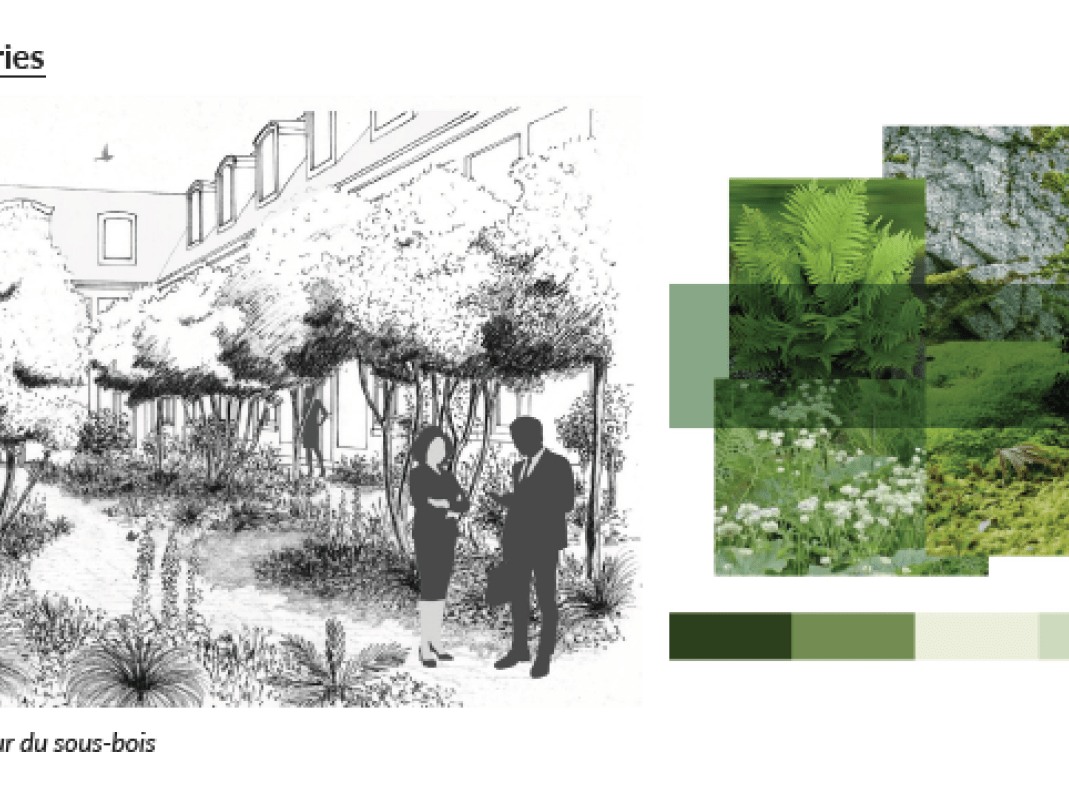 Agrandir l'image - fenêtre modale