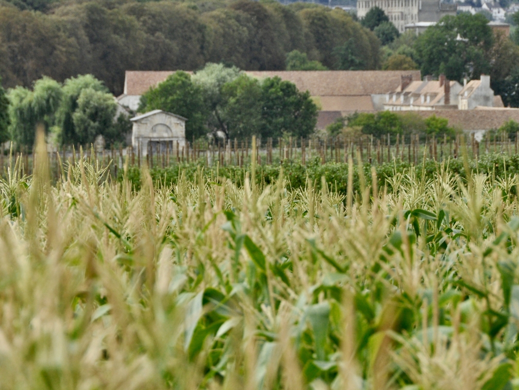 Agrandir l'image - fenêtre modale