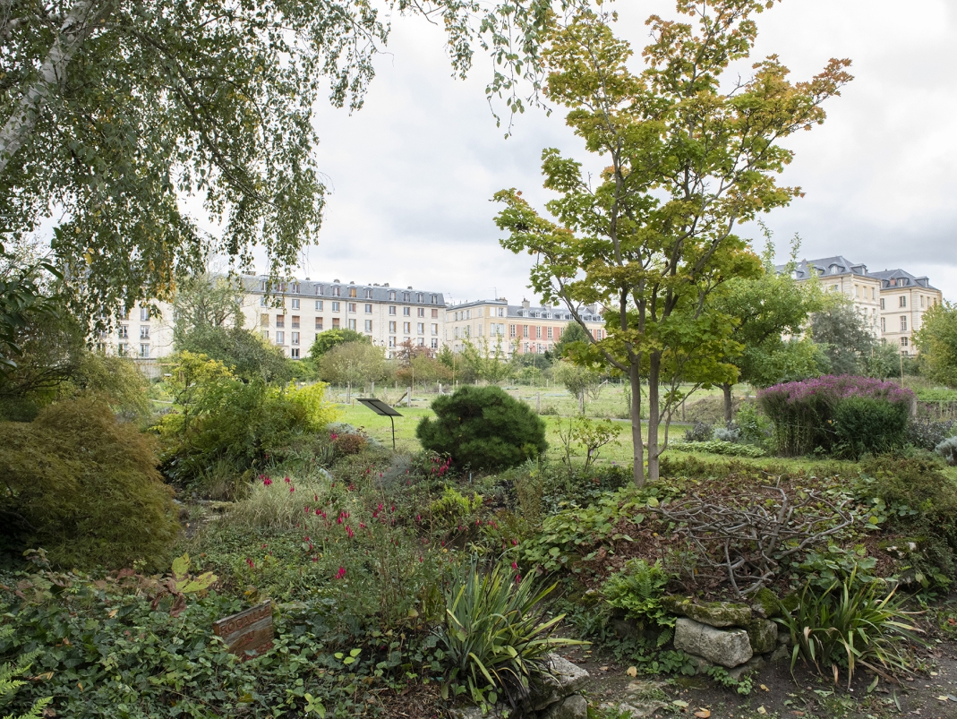 Agrandir l'image - fenêtre modale - Vue du jardin Duhamel du Monceau depuis la Rocaille.