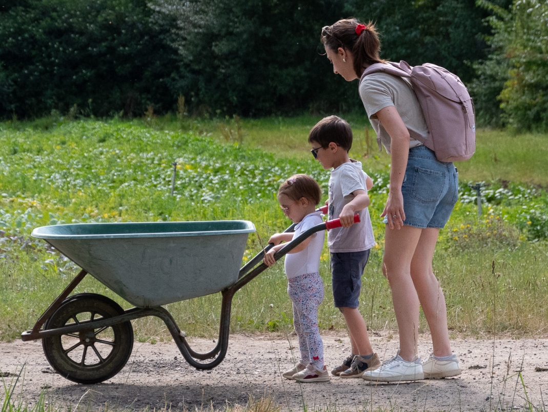Agrandir l'image - fenêtre modale