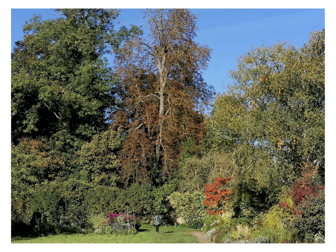 Agrandir l'image - fenêtre modale - Vue depuis le jardin Duhamel du Monceau, « Photographier le paysage au Potager du Roi », collège Saint-Exupéry (Vélizy-Villacoublay), octobre 2022. 