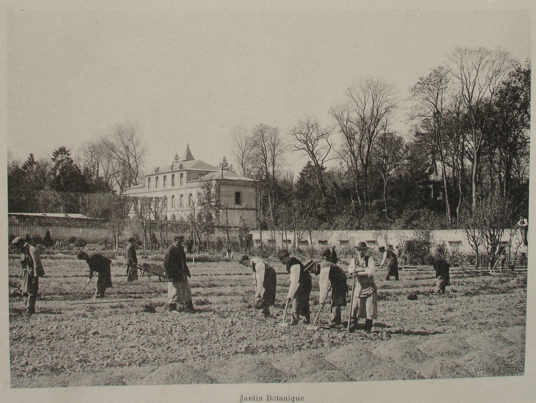Agrandir l'image - fenêtre modale - Jardin Botanique, brochure probablement de 1909.