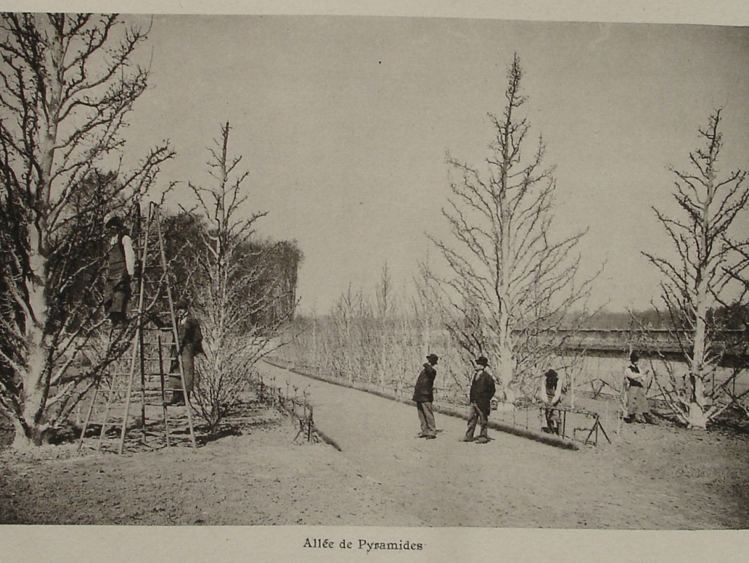 Agrandir l'image - fenêtre modale - Jardin Botanique, brochure probablement de 1909.