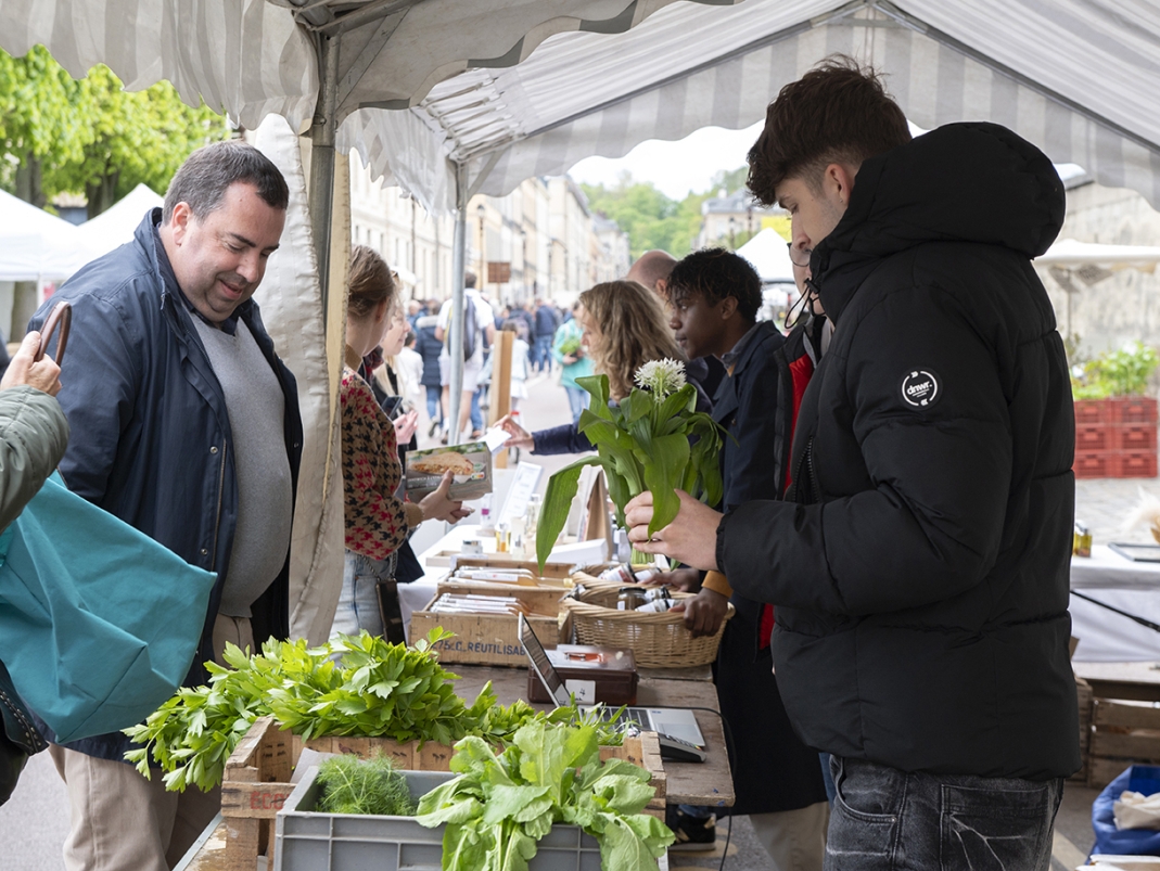 Agrandir l'image - fenêtre modale