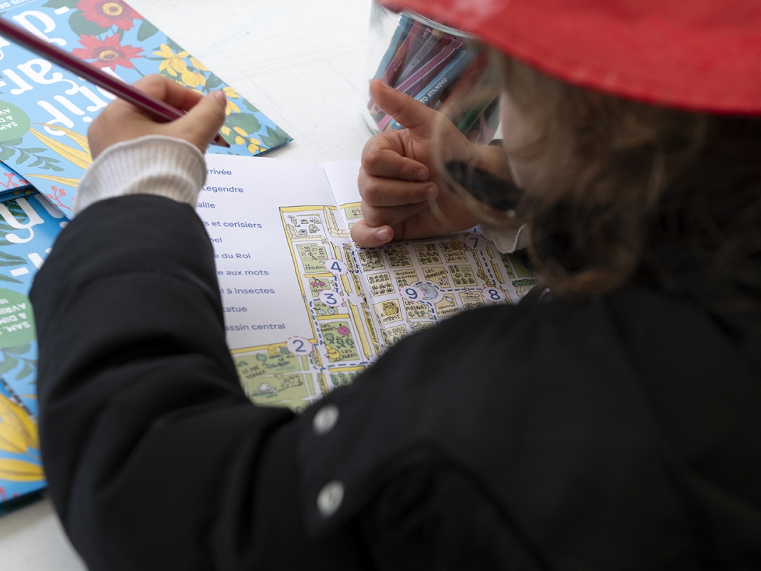 Agrandir l'image - fenêtre modale