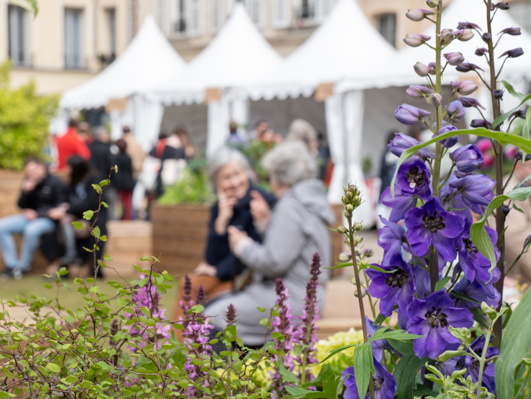 Agrandir l'image - fenêtre modale