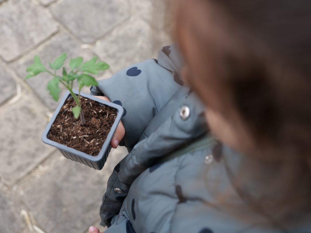 Agrandir l'image - fenêtre modale