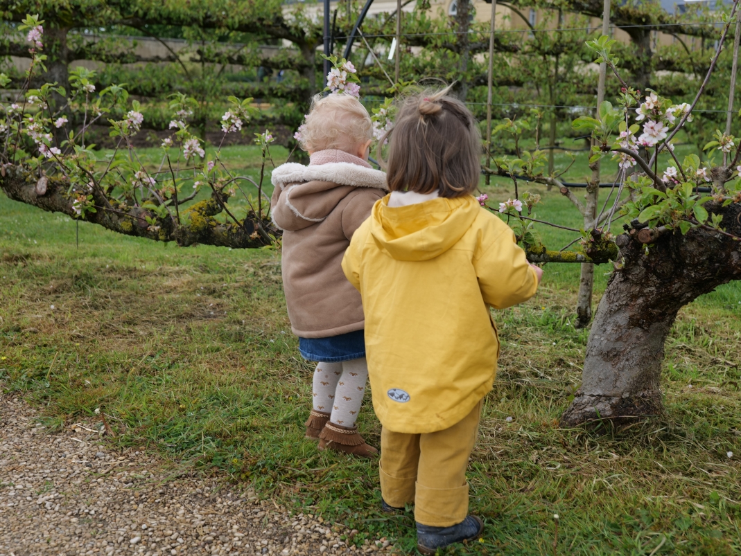 Agrandir l'image - fenêtre modale