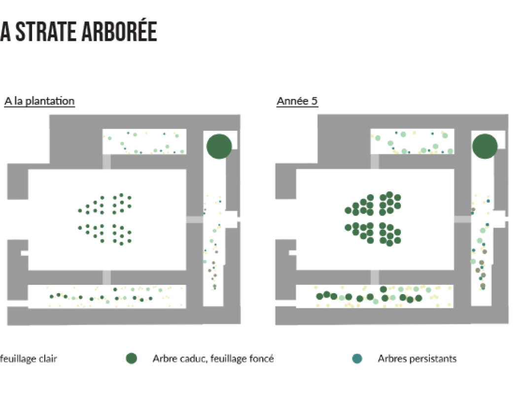 Agrandir l'image - fenêtre modale